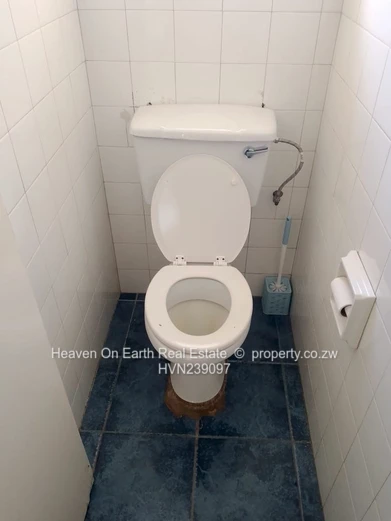 Exceptional Investment