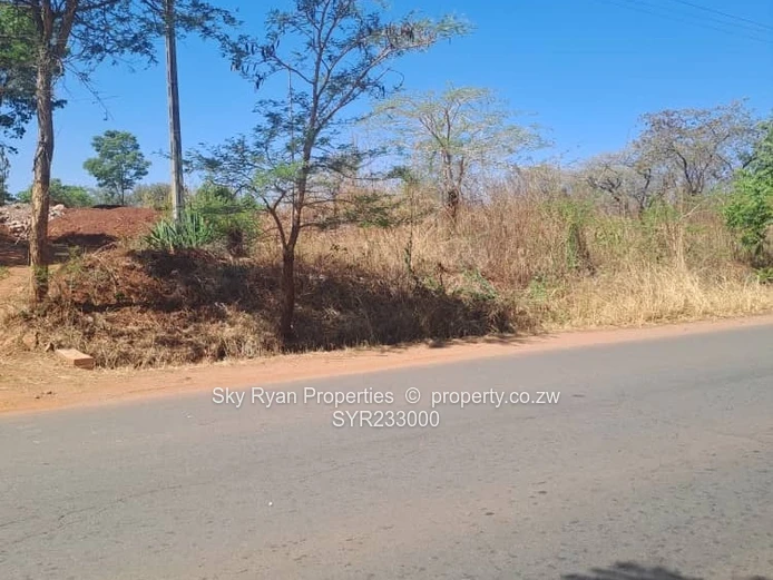 Borrowdale Stands For Sale