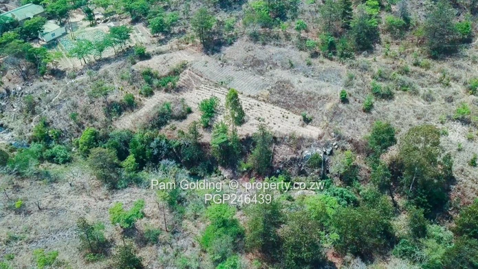 Stands In Nyanga At Nyamazi River For Sale