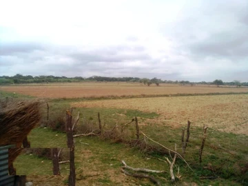 Farm & Agricultural Land