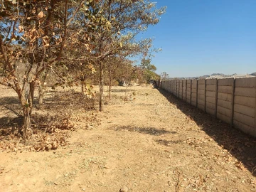 Stands & Residential Land