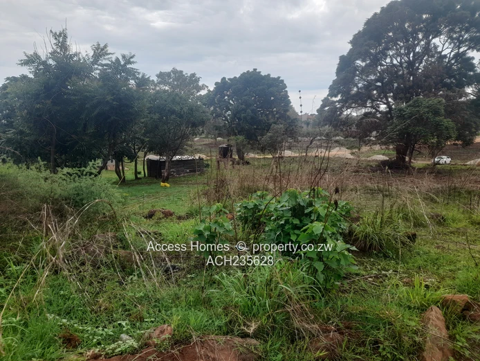 Borrowdale hogertyhill