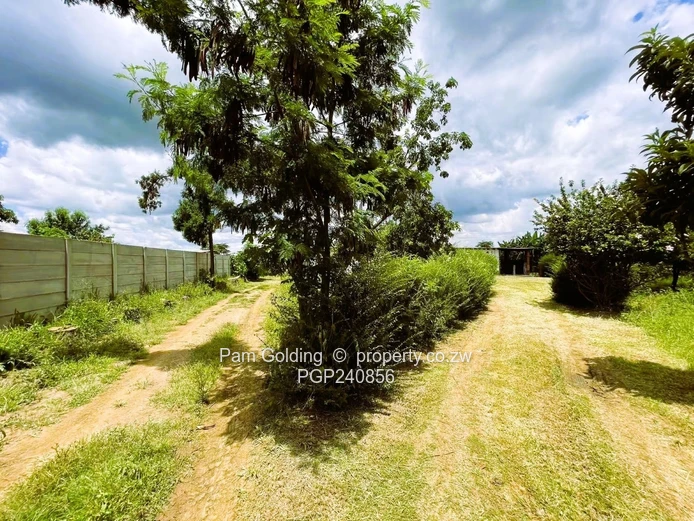 Time-Bound Sale with exceptional value