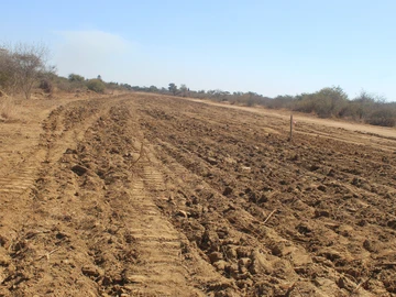 Farm & Agricultural Land