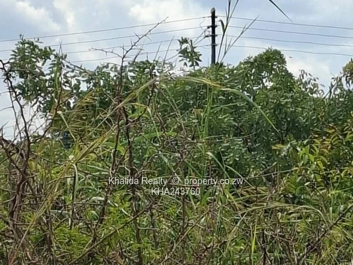 Norton Galloway stand for sale