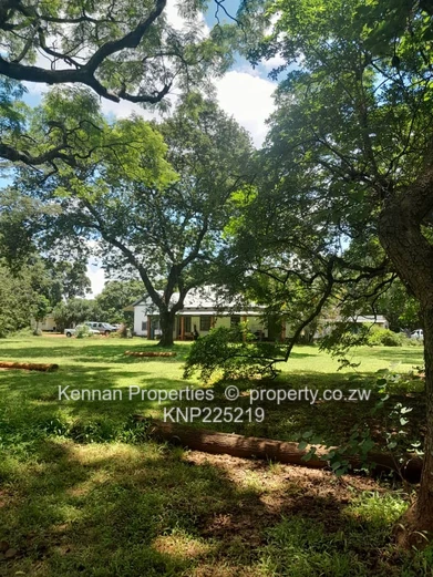 Your dream starts with 3 acres of land!