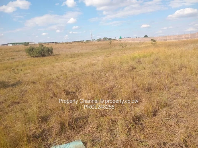 5,000 sqm Level Plot in 8km west of Gweru CBD — Open Grass, Adjacent Walled Property