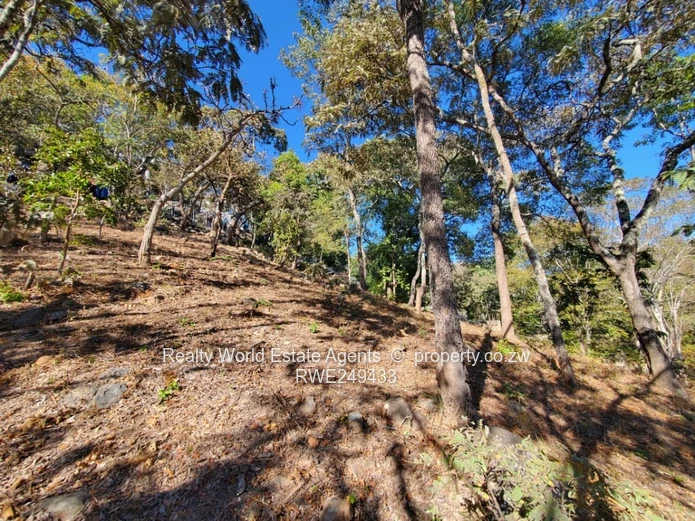 Residential Stand for Sale – Glen Lorne