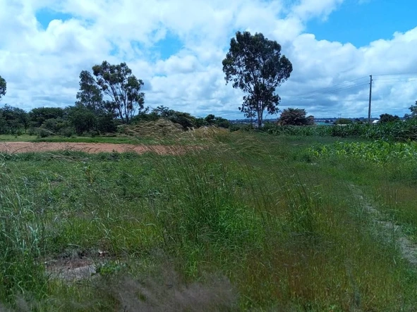 Commercial & Industrial Land