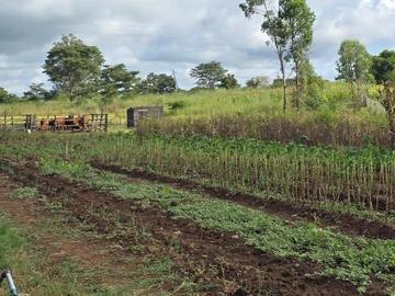 Farm & Agricultural Land