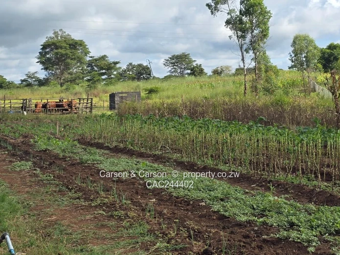 Ideal For Horticulture