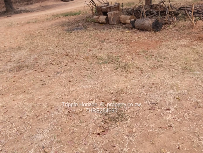 2060 sqm Prospect Stand — Main Road Frontage, Outbuilding