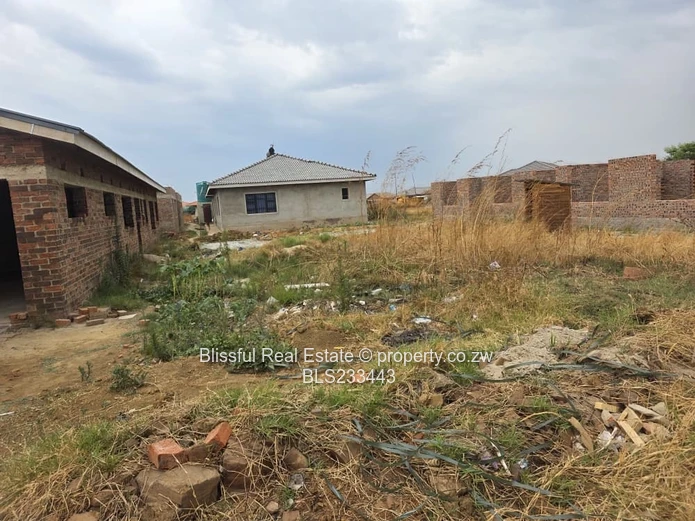 glaudina stand for sale