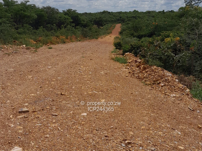 1181m² Low density residential stand for sale in Kadoma (Sole Mandate)