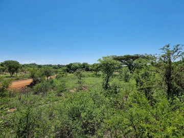 Stands & Residential Land