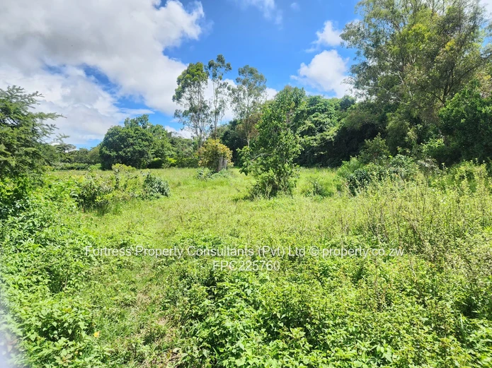 Upmarket Real Estate  (Sole Mandate)