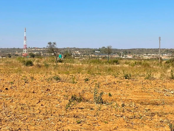 Farm & Agricultural Land