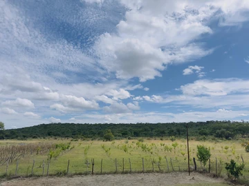 Beatrice farm for sale