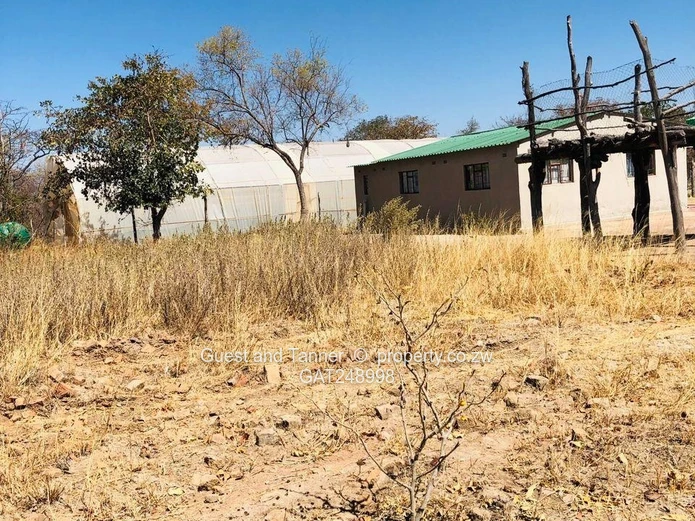 2 Prime Agricultural Plots for Sale – Ngezi Farming Area 