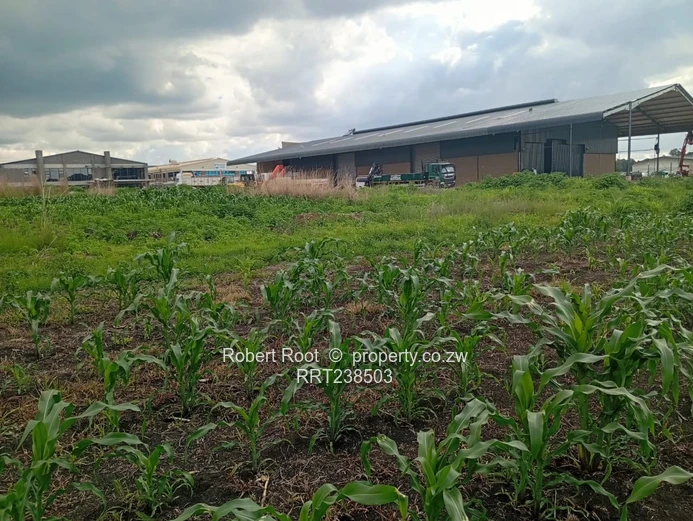 Prime Industrial Investment Opportunity