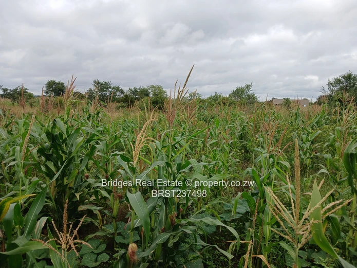 Fast establishing suburb in Gweru North! (Sole Mandate)