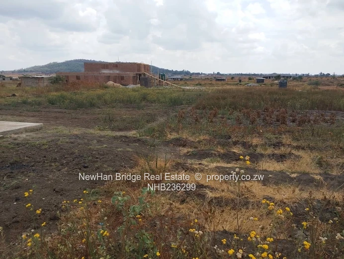 1200m² Fairview Stand — Level Plot with Concrete Slab & Hill Views