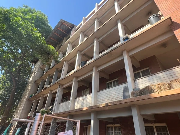 Flat & Apartment