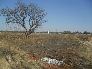 Commercial & Industrial Land