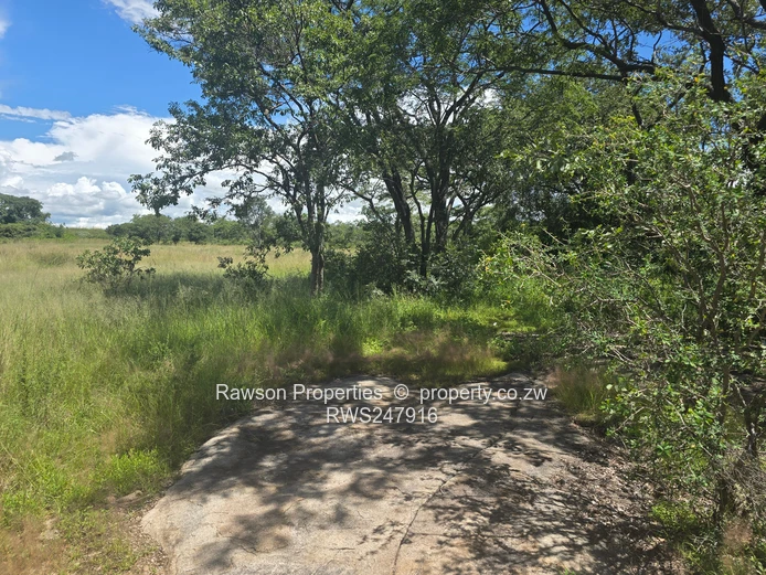 6.7ha Bindura Farm - In Mashonaland Central Province!!