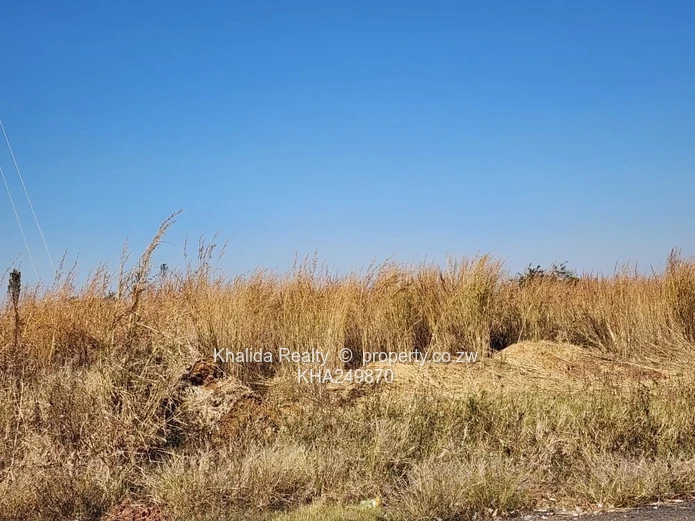 Stands For Sale – Haydon, Shineplus Park, Harare