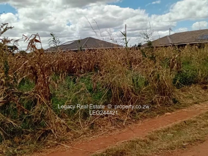 Good Investment Opportunity