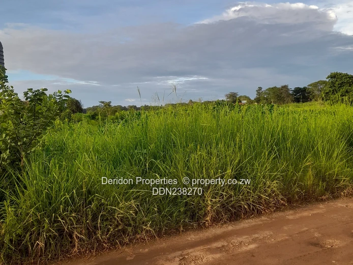 Build your dream home  (Sole Mandate)