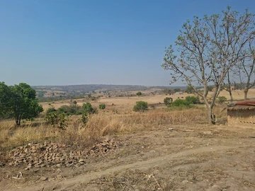 Farm & Agricultural Land