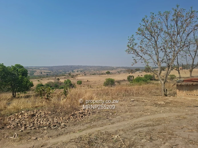 Headlands Plot for sale  (Sole Mandate)