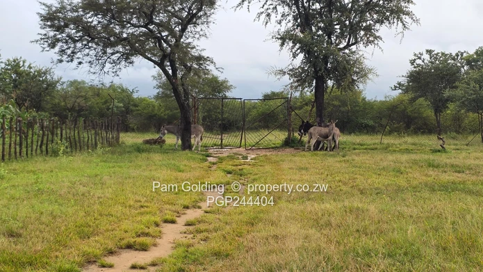 Farm for Sale – Fort Rixon