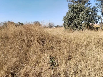 Stands & Residential Land
