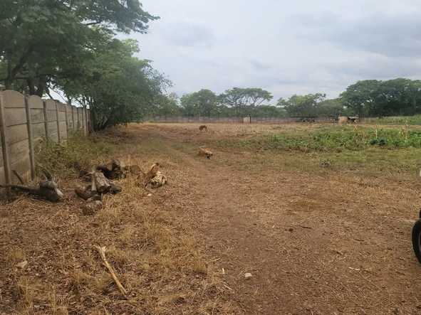 Stands & Residential Land