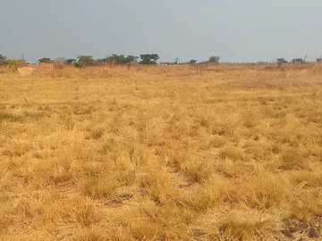 Farm & Agricultural Land