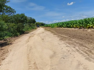 Farm & Agricultural Land