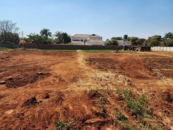 Stands & Residential Land