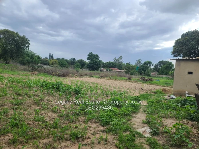 Prime Subdivision Stand For Sale – Waterfalls Near Zindoga Shops