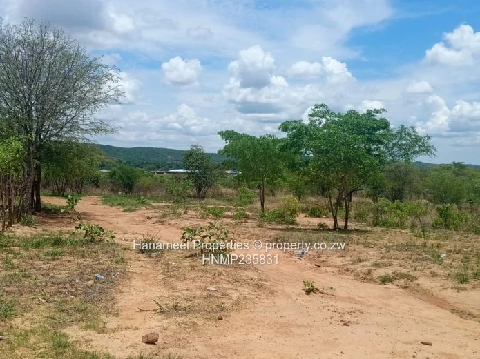 Kadoma Plot