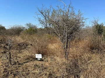 Stands & Residential Land