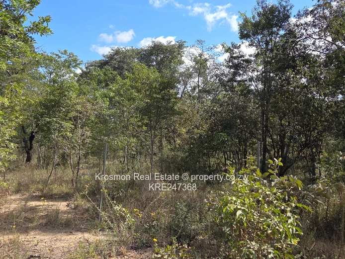 Plot For Sale