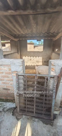 10ha Marondera Farm — Dam, Orchard, Vineyard & Homestead (Sole Mandate)