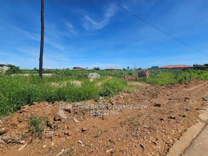 Stands!! Stands!! Stands!!