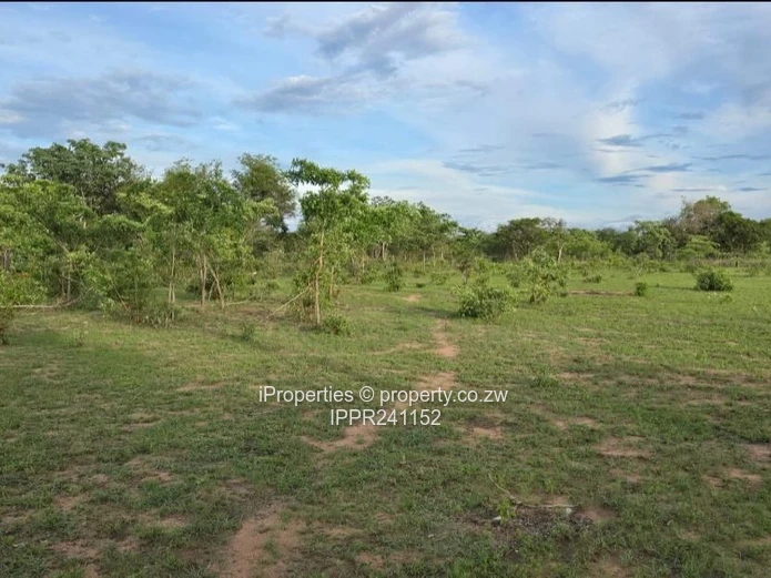 Choice of 3 Commercial Stands in Kadoma