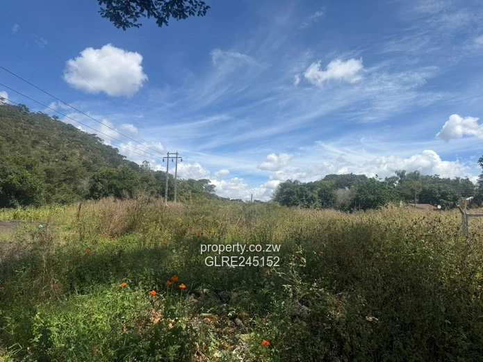 Prime 3,700m² Greystone Park Stand — Subdivision Ready