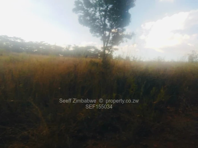 Experience The Nyanga Lifestyle, In Nature's Luxury