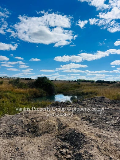 Headlands, Fareview Estate stands for sale !!